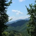 View from the terrace of the guesthouse