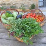 organic food and homegrown food that we grow